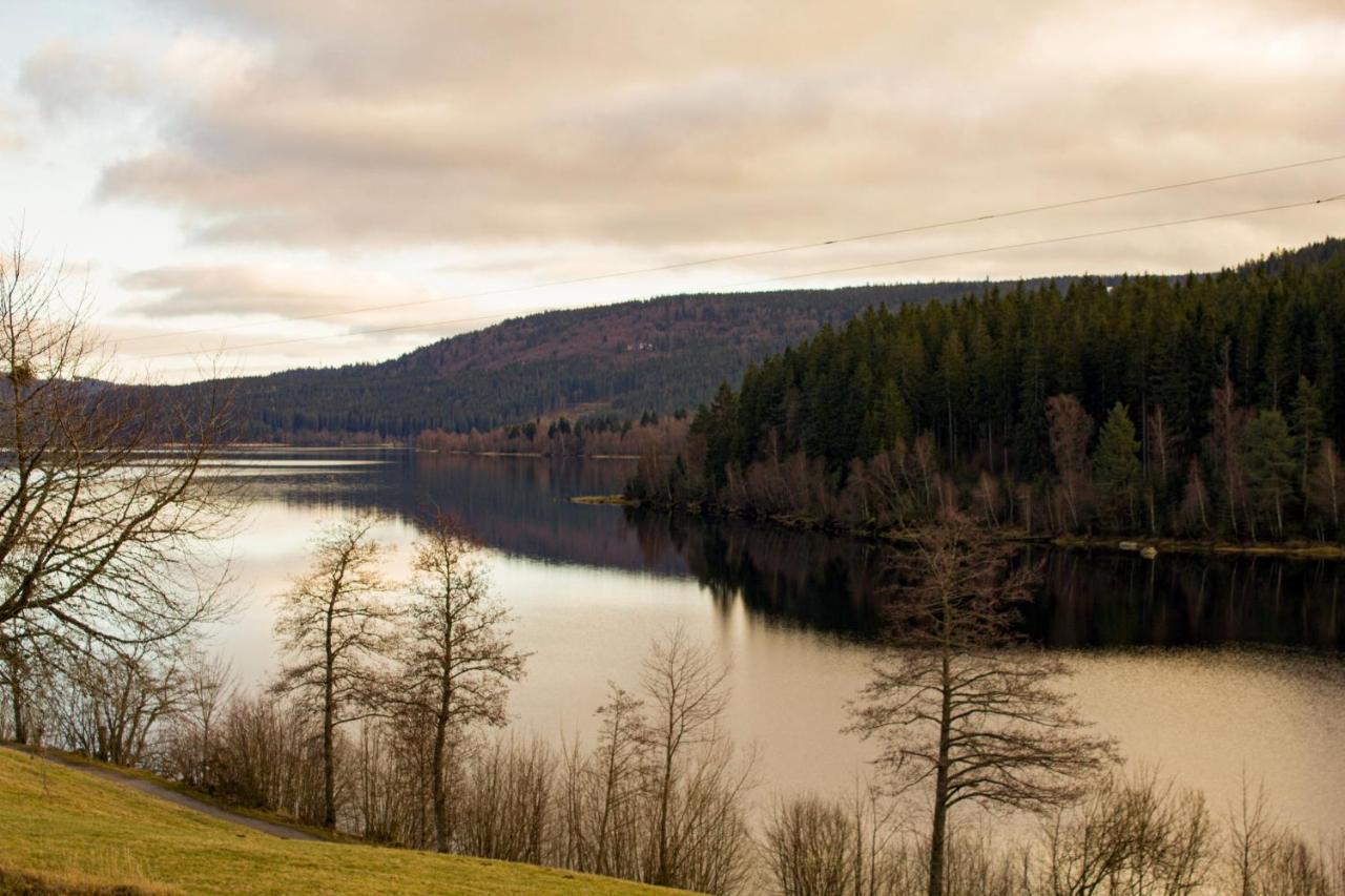 Gemuetliche Ferienwohnung - Mitten Im Schwarzwald بيرنو ام سشوارتزال المظهر الخارجي الصورة